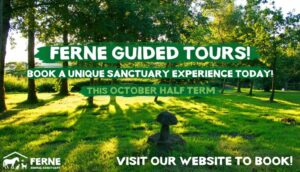 Copy of Guided Tours