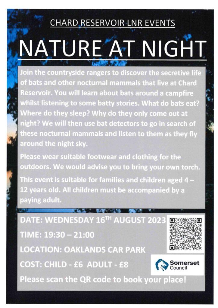 Nature at Night Poster 2023